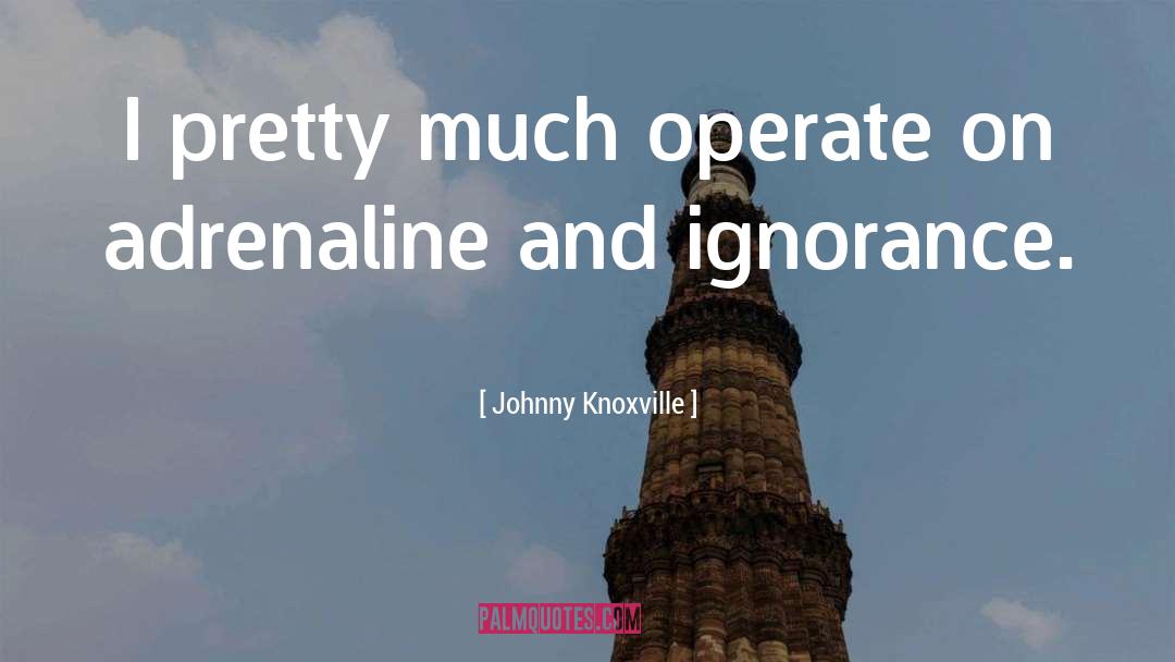 Johnny Knoxville Quotes: I pretty much operate on