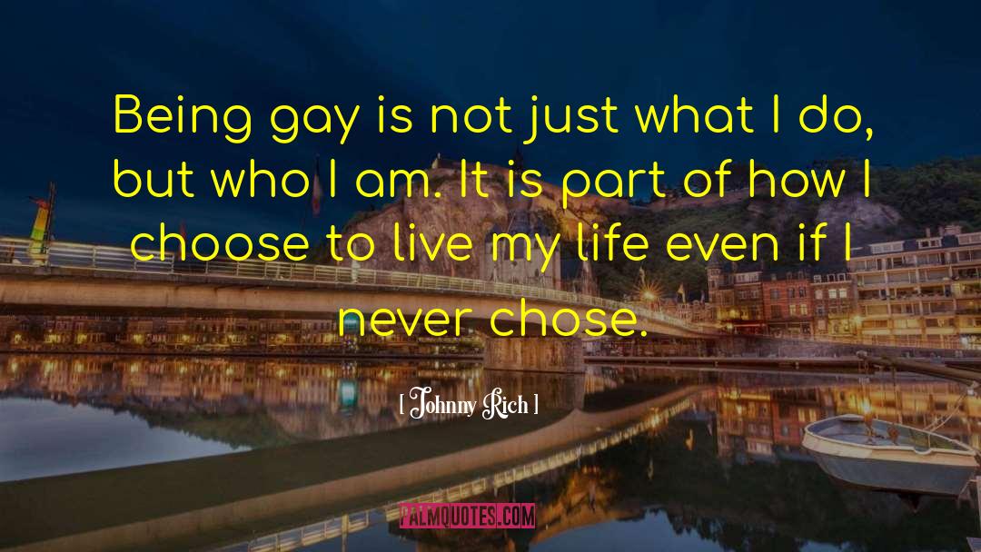 Johnny Rich Quotes: Being gay is not just