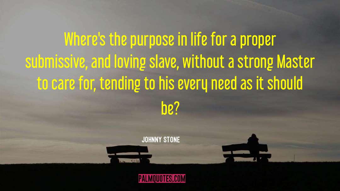Johnny Stone Quotes: Where's the purpose in life