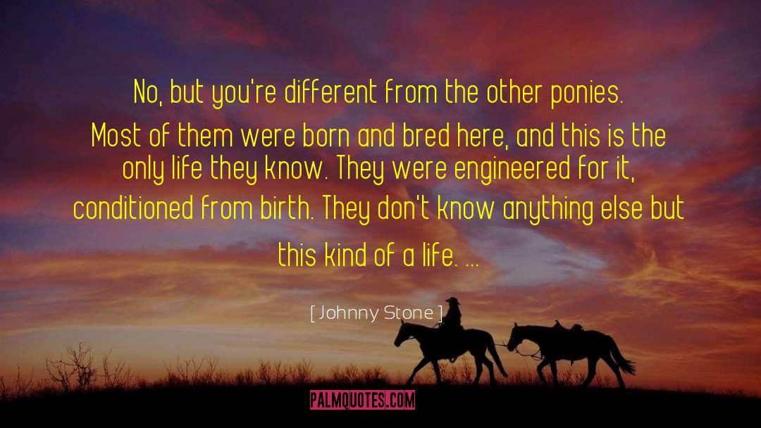 Johnny Stone Quotes: No, but you're different from