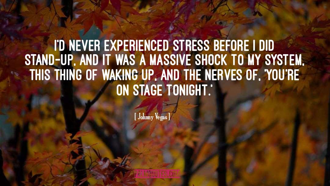 Johnny Vegas Quotes: I'd never experienced stress before