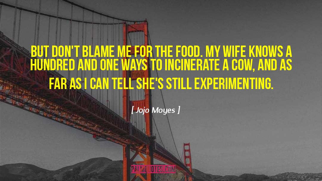 Jojo Moyes Quotes: But don't blame me for