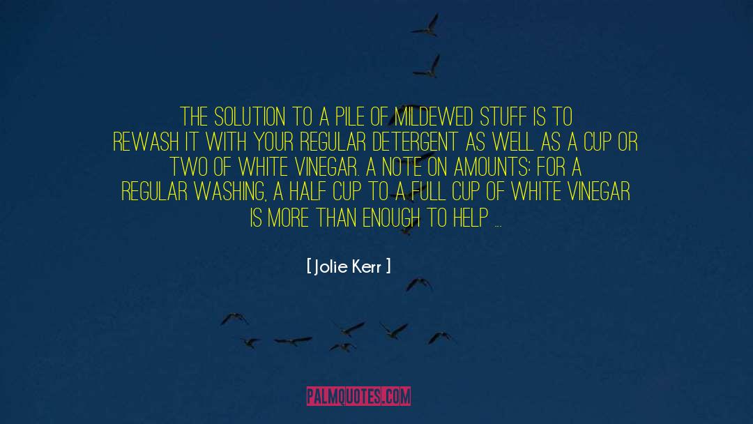 Jolie Kerr Quotes: The solution to a pile