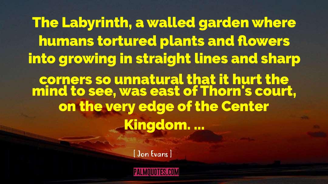 Jon Evans Quotes: The Labyrinth, a walled garden