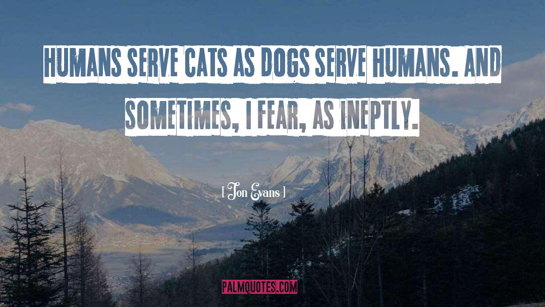 Jon Evans Quotes: Humans serve cats as dogs