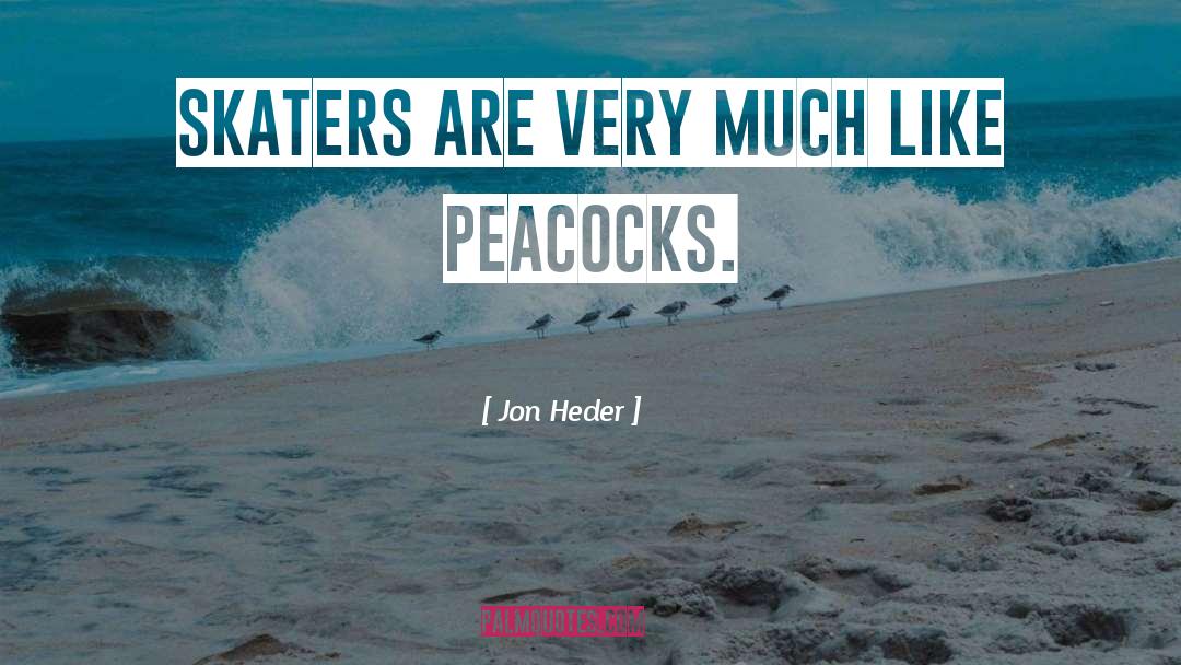 Jon Heder Quotes: Skaters are very much like