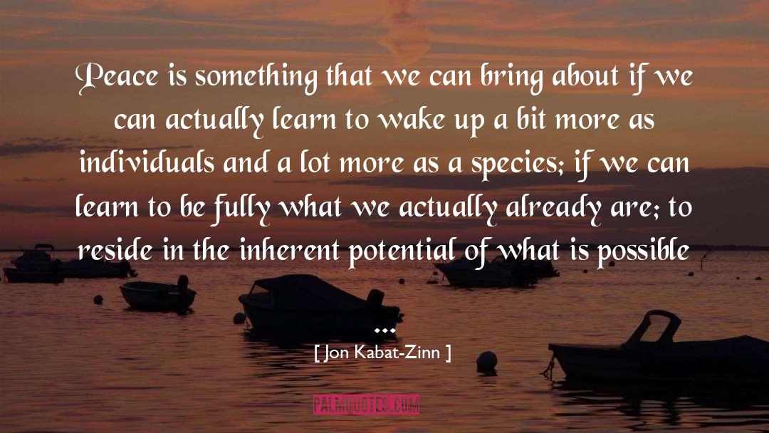 Jon Kabat-Zinn Quotes: Peace is something that we