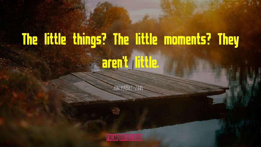 Jon Kabat-Zinn Quotes: The little things? The little