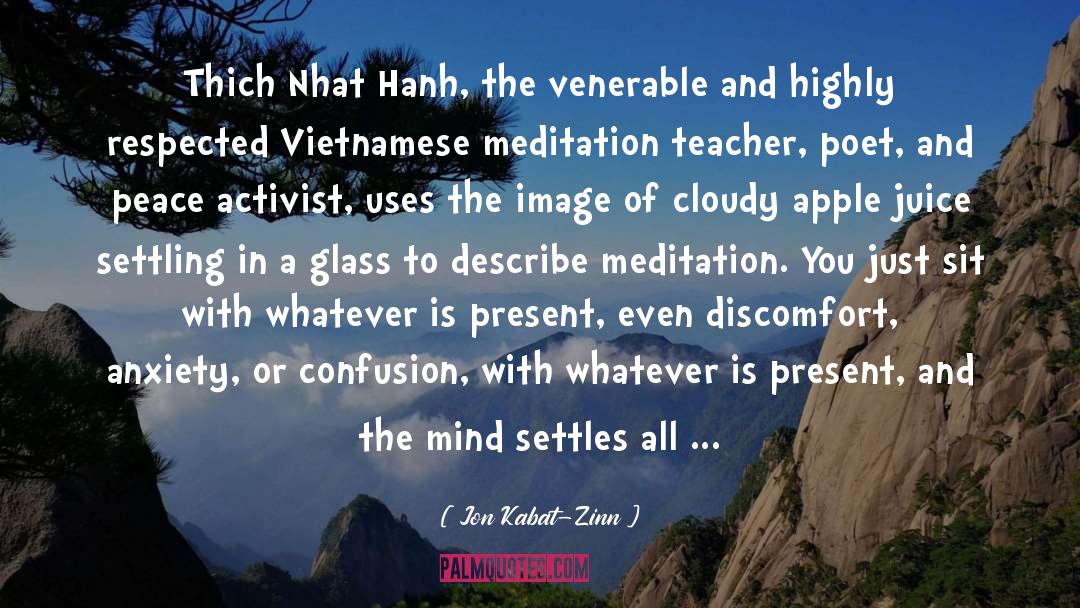 Jon Kabat-Zinn Quotes: Thich Nhat Hanh, the venerable