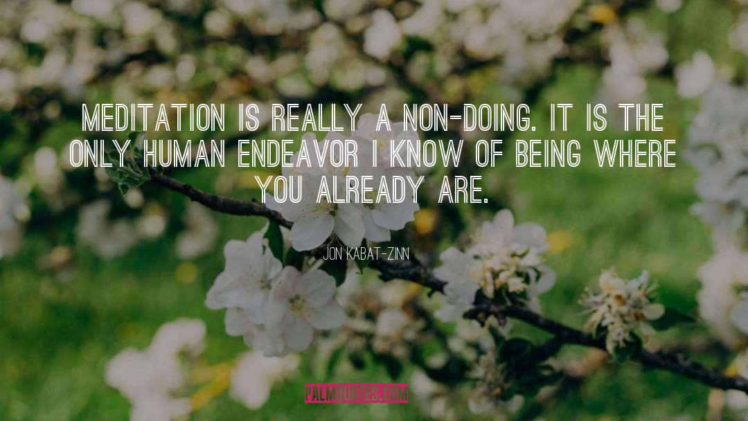 Jon Kabat-Zinn Quotes: Meditation is really a non-doing.