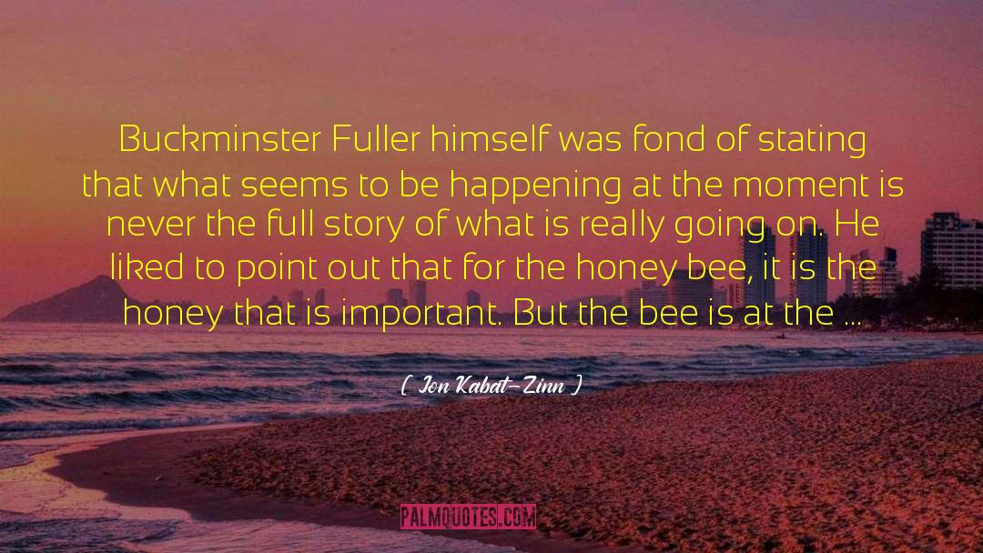 Jon Kabat-Zinn Quotes: Buckminster Fuller himself was fond