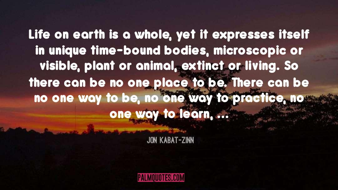 Jon Kabat-Zinn Quotes: Life on earth is a