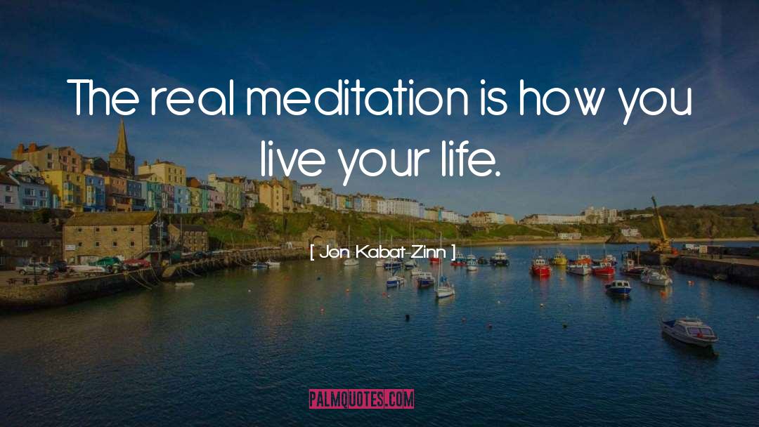 Jon Kabat-Zinn Quotes: The real meditation is how