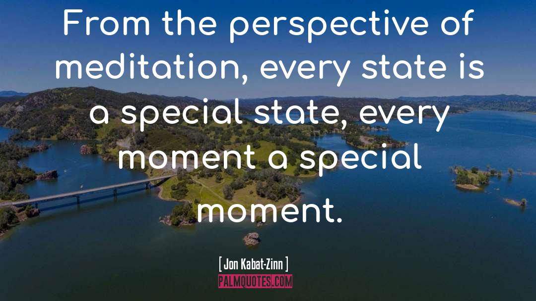 Jon Kabat-Zinn Quotes: From the perspective of meditation,