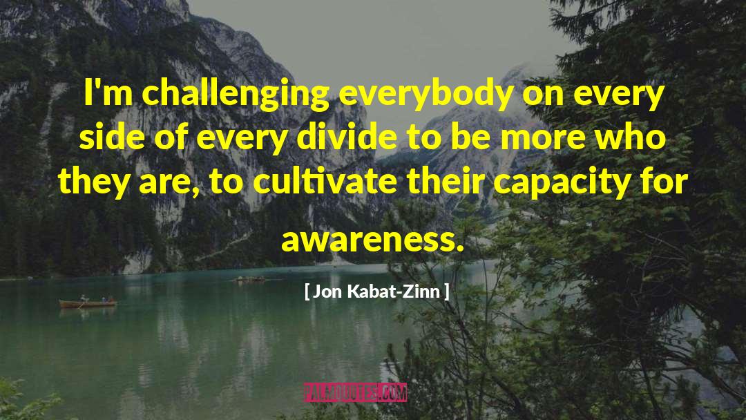 Jon Kabat-Zinn Quotes: I'm challenging everybody on every