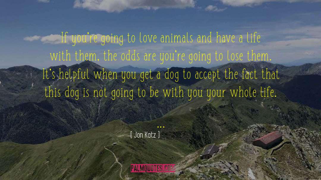 Jon Katz Quotes: If you're going to love