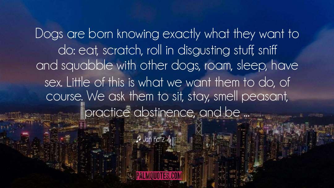 Jon Katz Quotes: Dogs are born knowing exactly