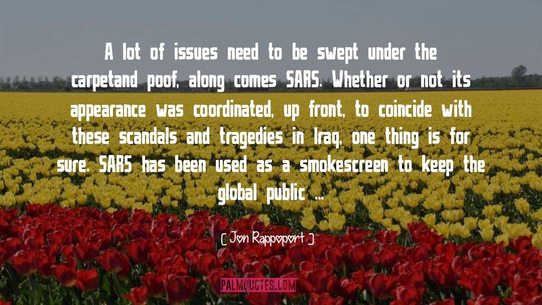 Jon Rappoport Quotes: A lot of issues need