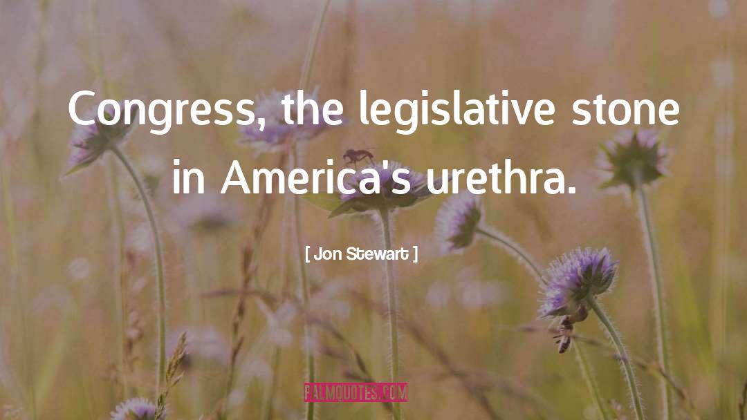 Jon Stewart Quotes: Congress, the legislative stone in