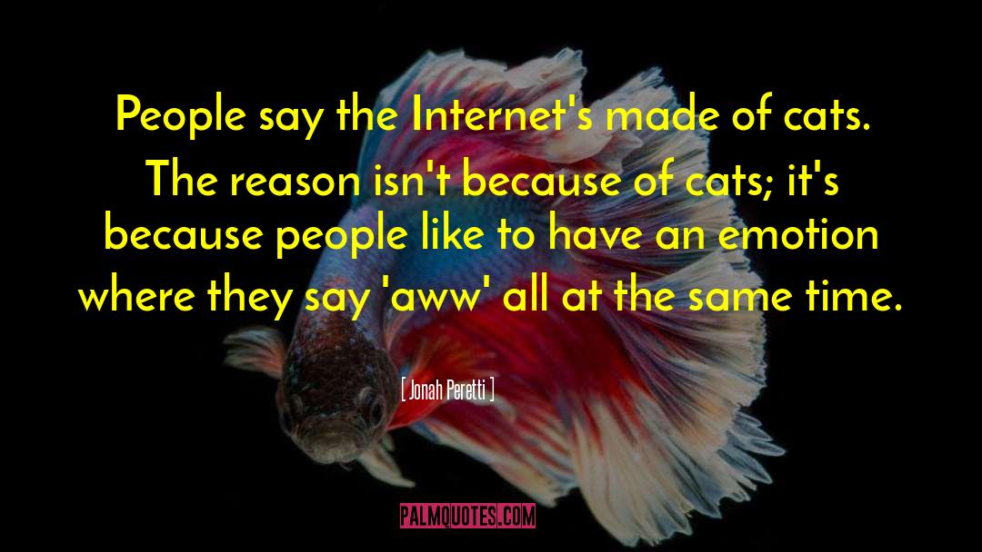 Jonah Peretti Quotes: People say the Internet's made