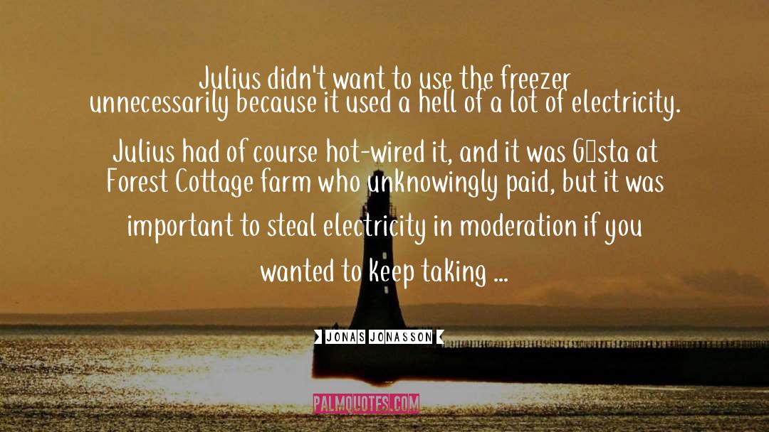 Jonas Jonasson Quotes: Julius didn't want to use