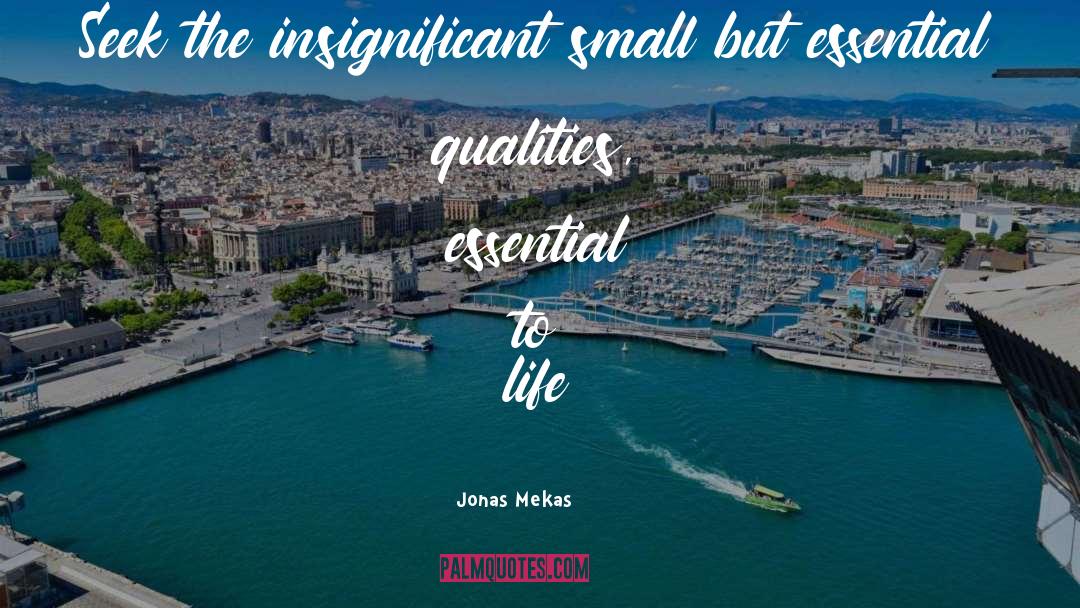 Jonas Mekas Quotes: Seek the insignificant small but