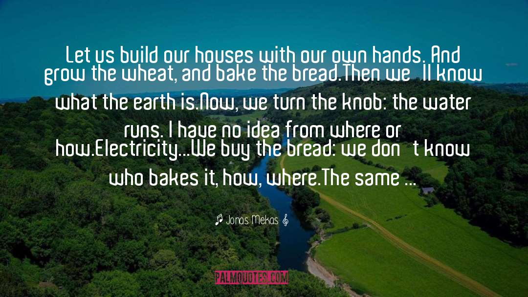 Jonas Mekas Quotes: Let us build our houses