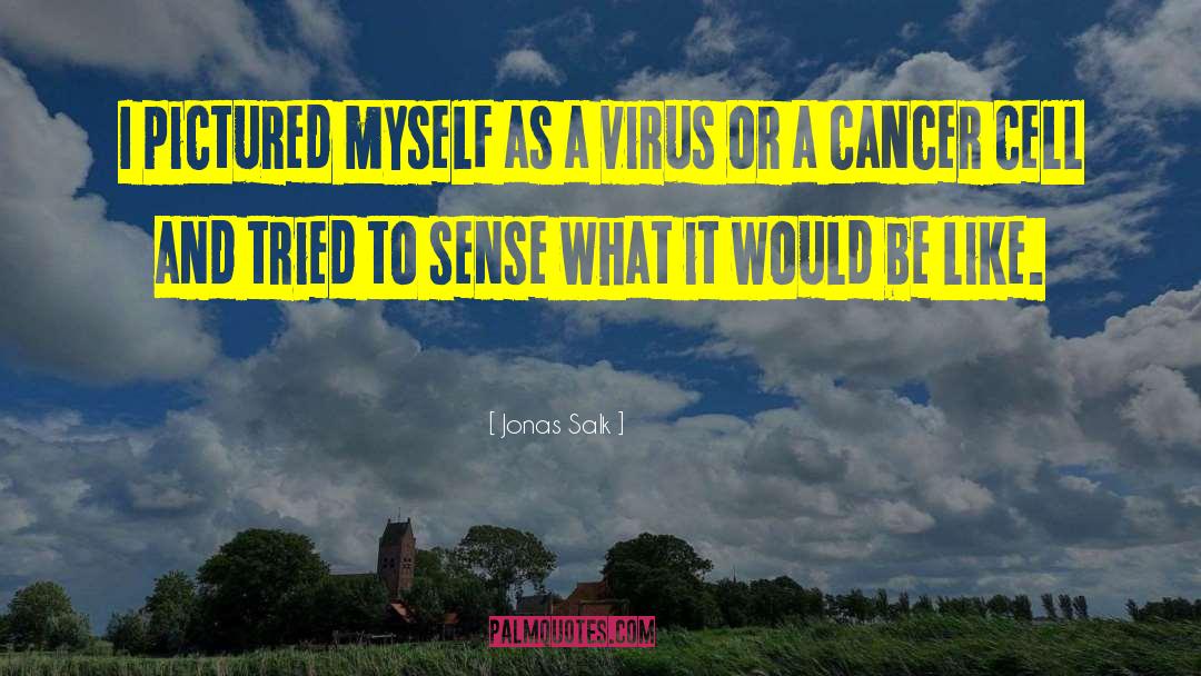 Jonas Salk Quotes: I pictured myself as a