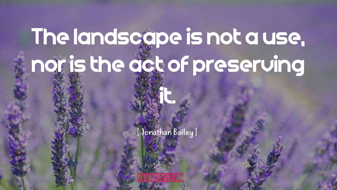 Jonathan Bailey Quotes: The landscape is not a