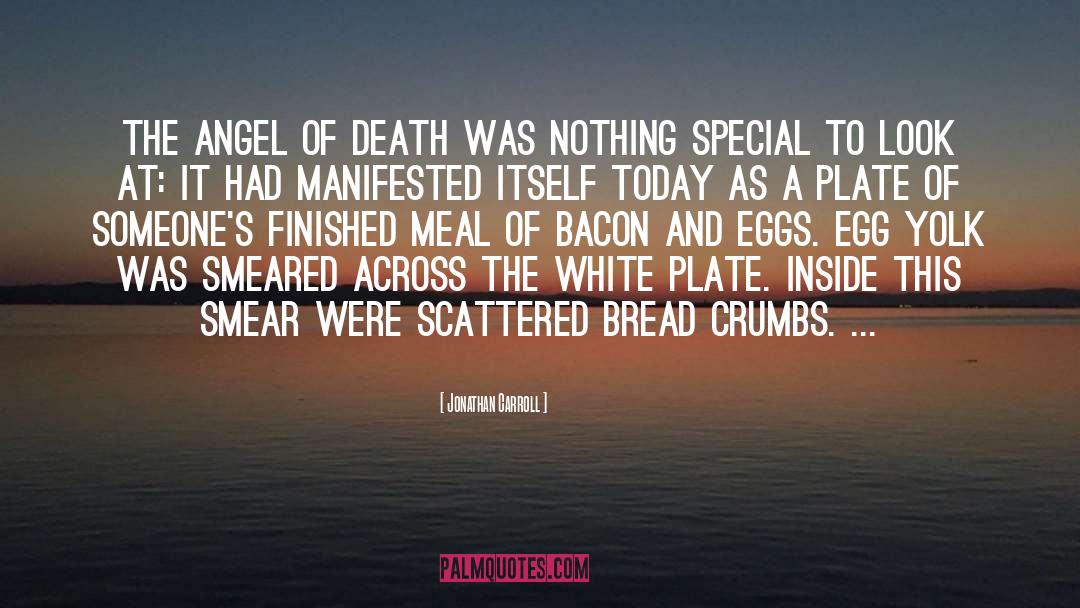 Jonathan Carroll Quotes: The Angel of Death was