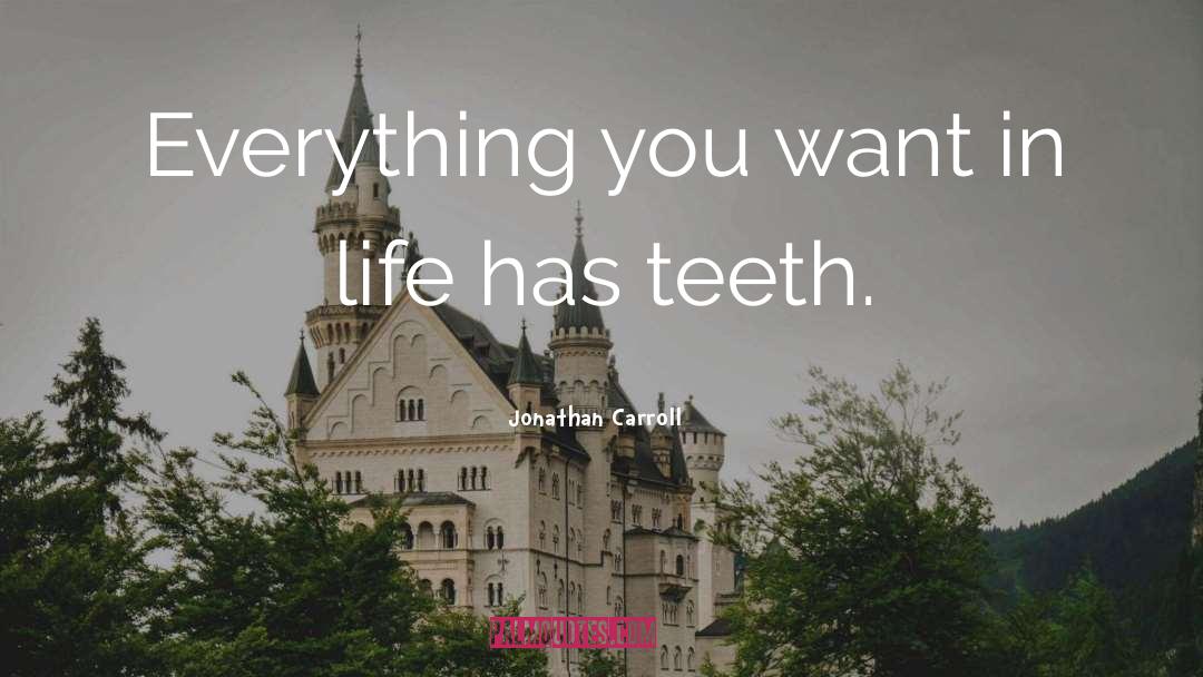 Jonathan Carroll Quotes: Everything you want in life