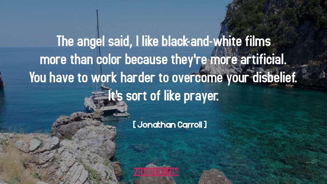 Jonathan Carroll Quotes: The angel said, I like