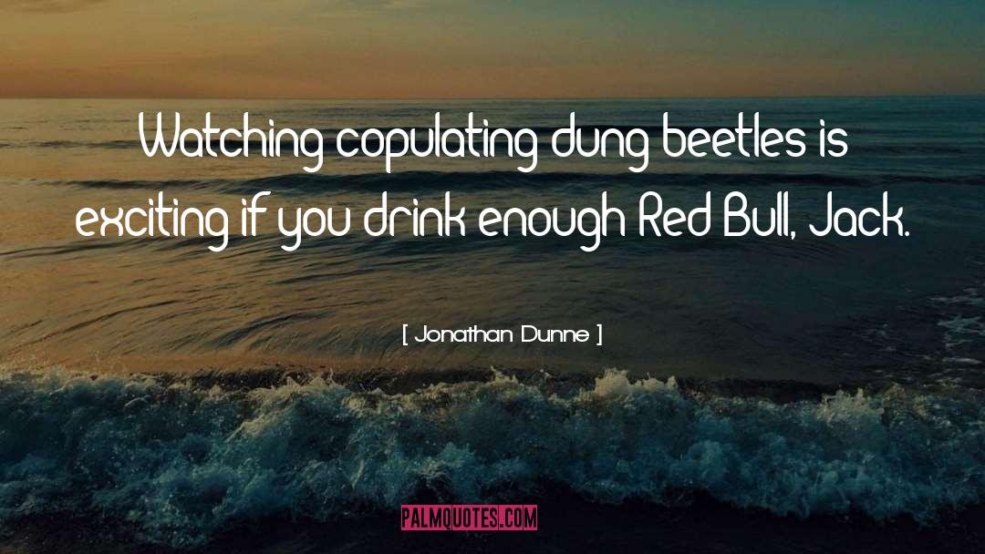 Jonathan Dunne Quotes: Watching copulating dung-beetles is exciting