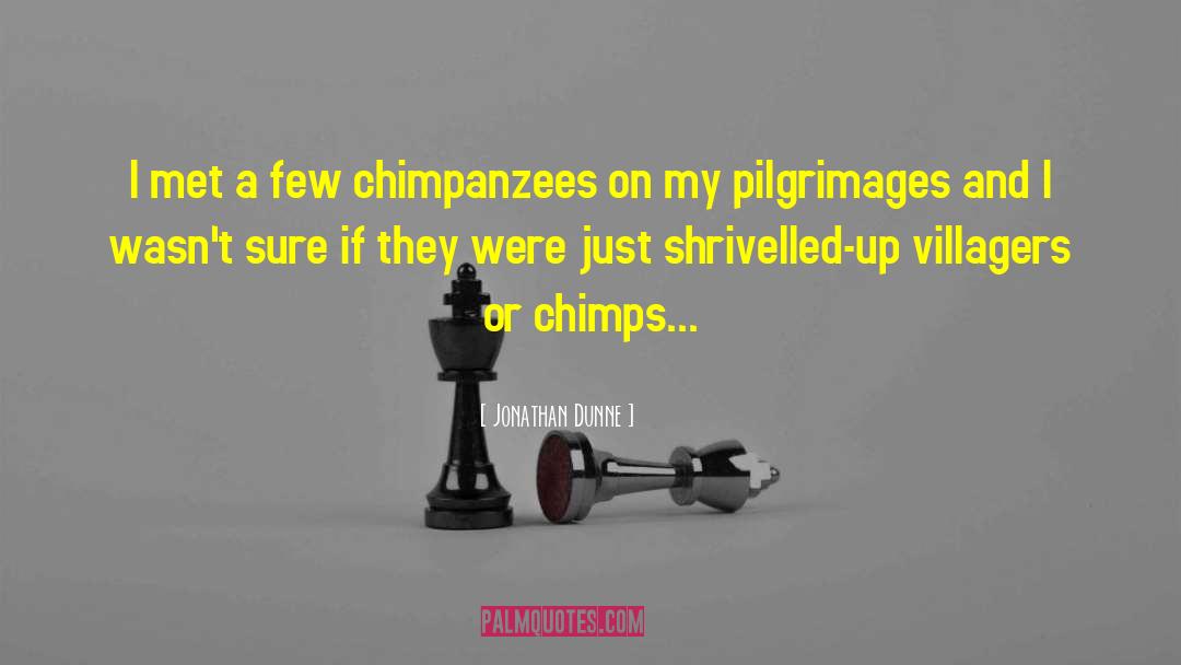 Jonathan Dunne Quotes: I met a few chimpanzees