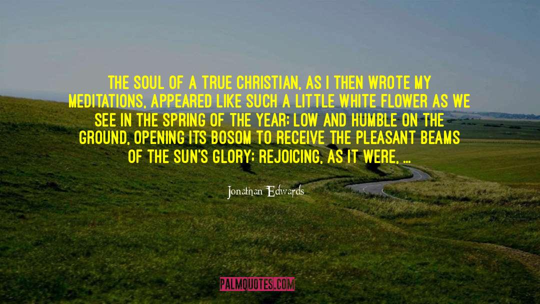 Jonathan Edwards Quotes: The soul of a true