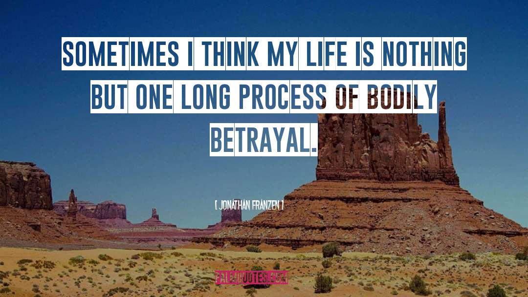 Jonathan Franzen Quotes: Sometimes I think my life