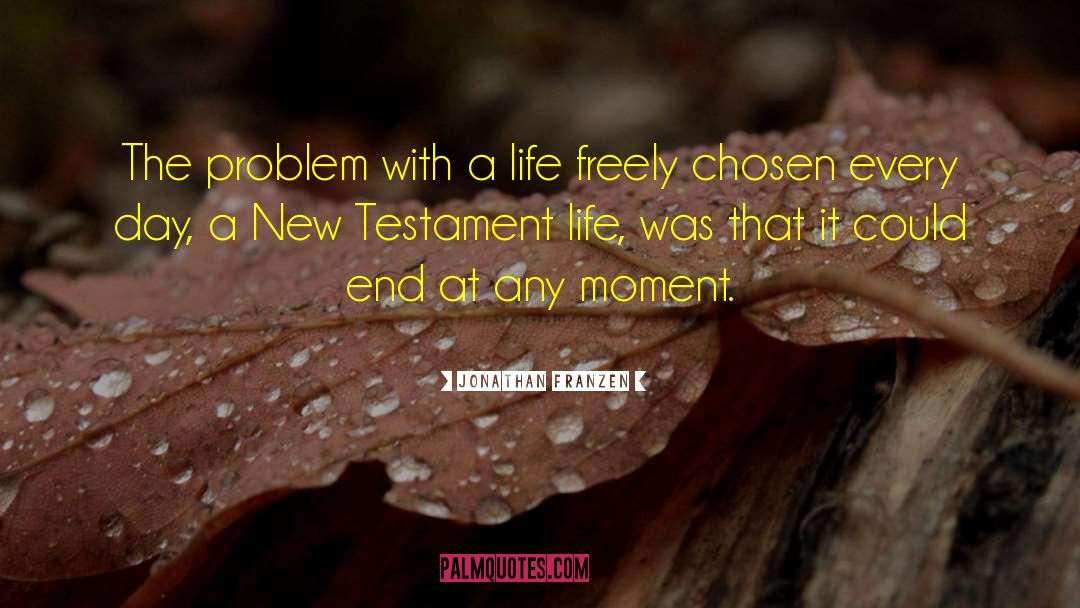 Jonathan Franzen Quotes: The problem with a life