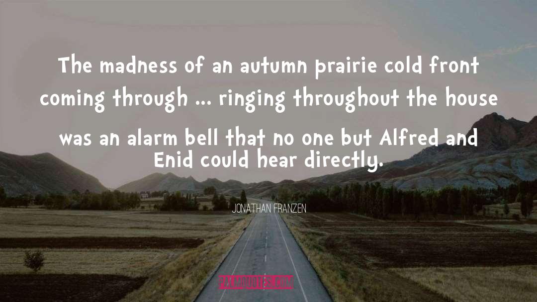 Jonathan Franzen Quotes: The madness of an autumn