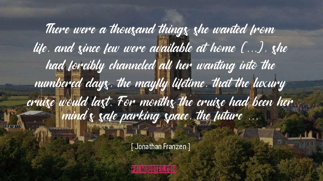 Jonathan Franzen Quotes: There were a thousand things