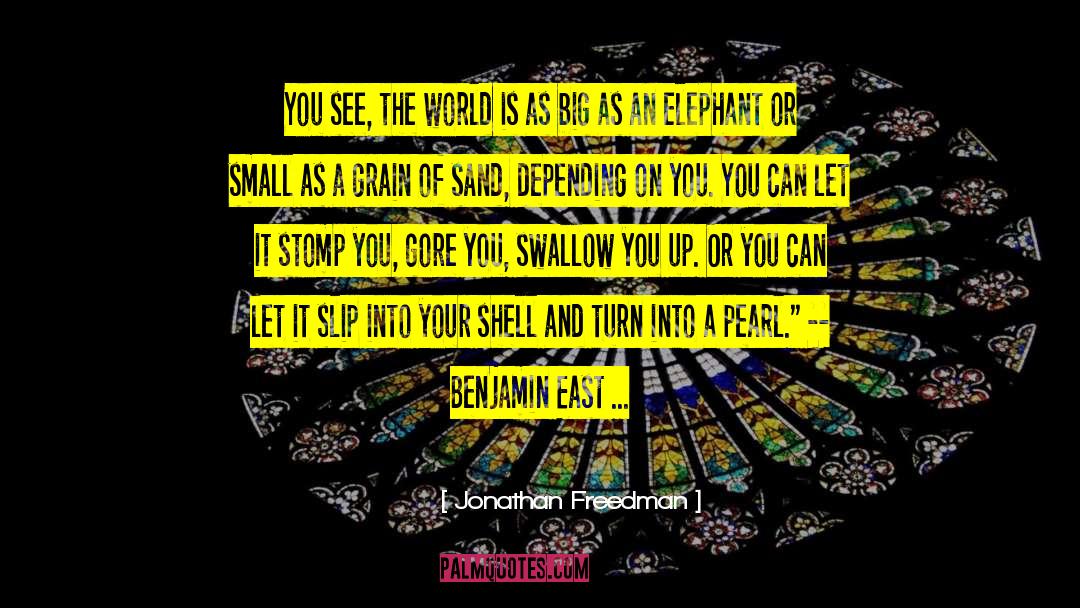 Jonathan Freedman Quotes: You see, the world is