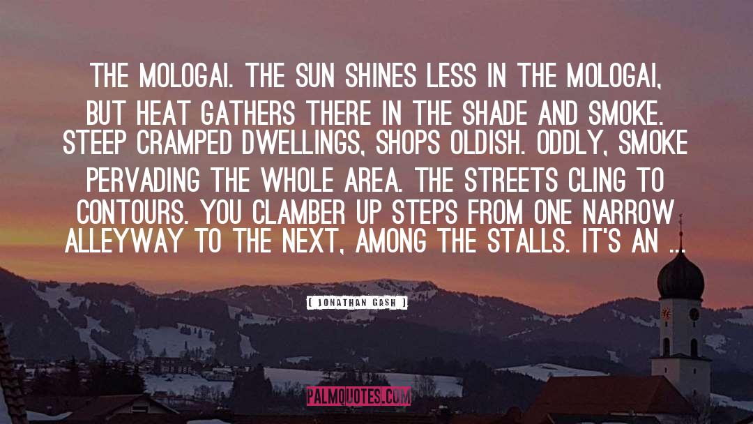 Jonathan Gash Quotes: The Mologai. The sun shines