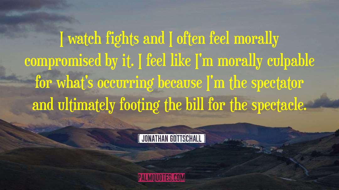 Jonathan Gottschall Quotes: I watch fights and I