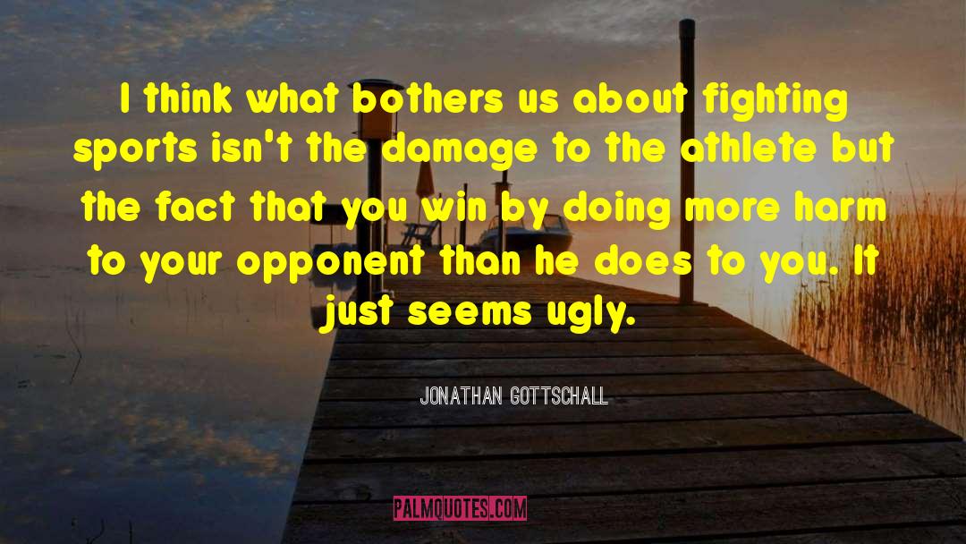 Jonathan Gottschall Quotes: I think what bothers us