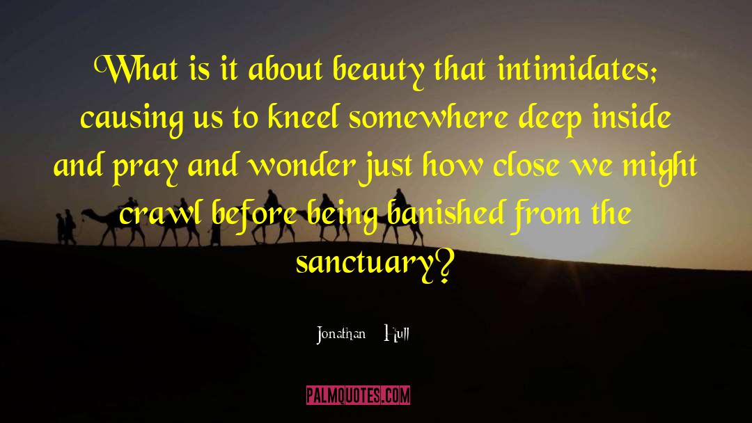 Jonathan Hull Quotes: What is it about beauty