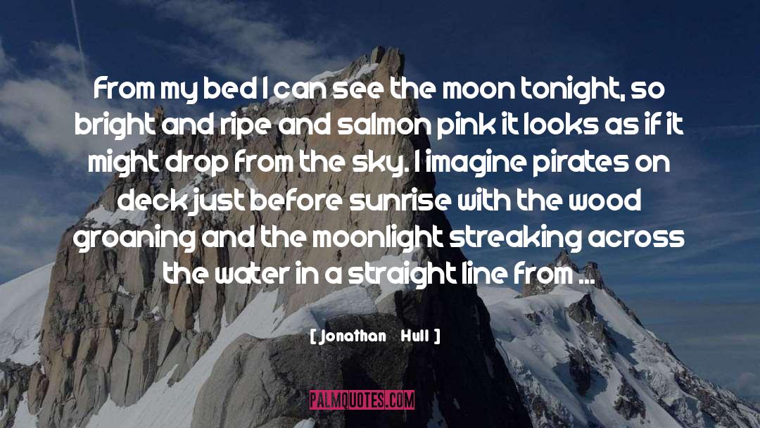 Jonathan Hull Quotes: From my bed I can