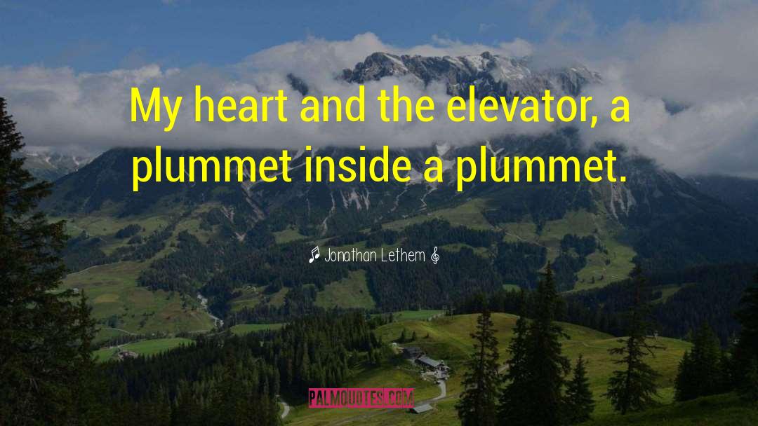 Jonathan Lethem Quotes: My heart and the elevator,