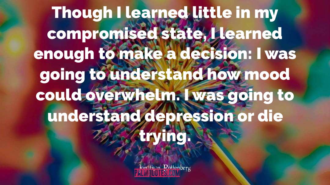 Jonathan Rottenberg Quotes: Though I learned little in