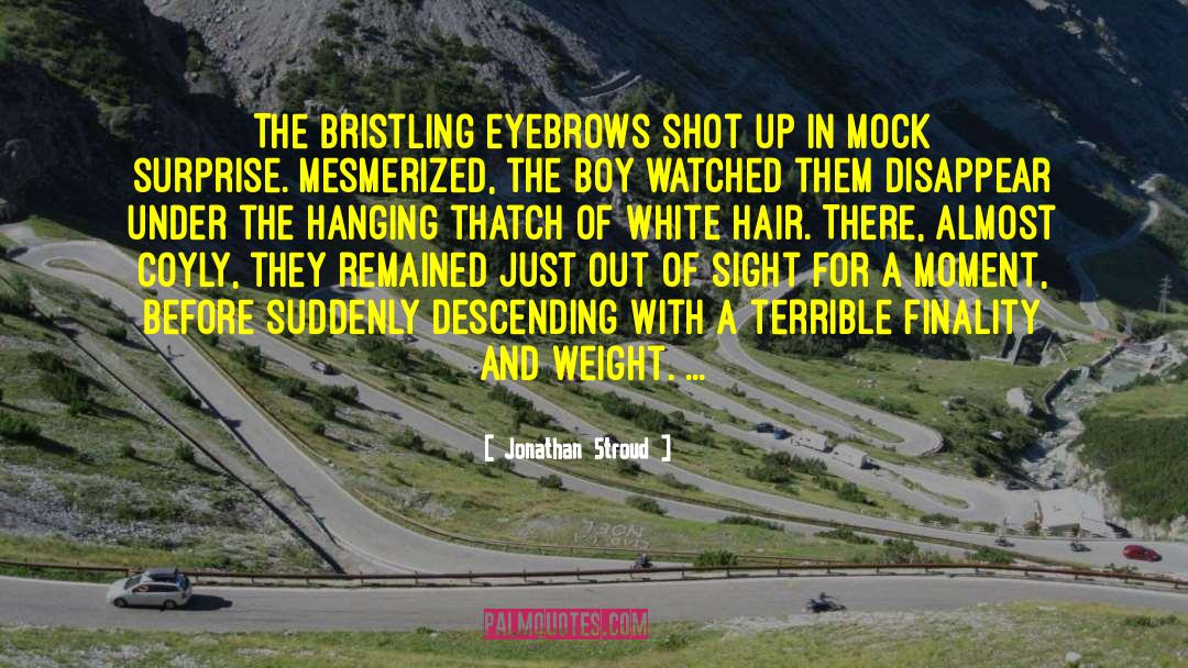 Jonathan Stroud Quotes: The bristling eyebrows shot up