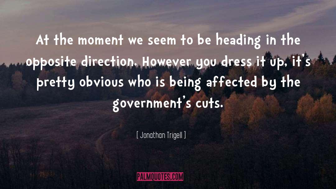 Jonathan Trigell Quotes: At the moment we seem