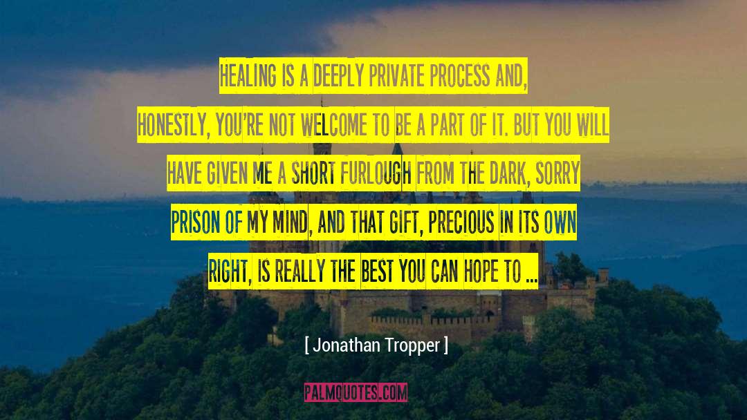 Jonathan Tropper Quotes: Healing is a deeply private